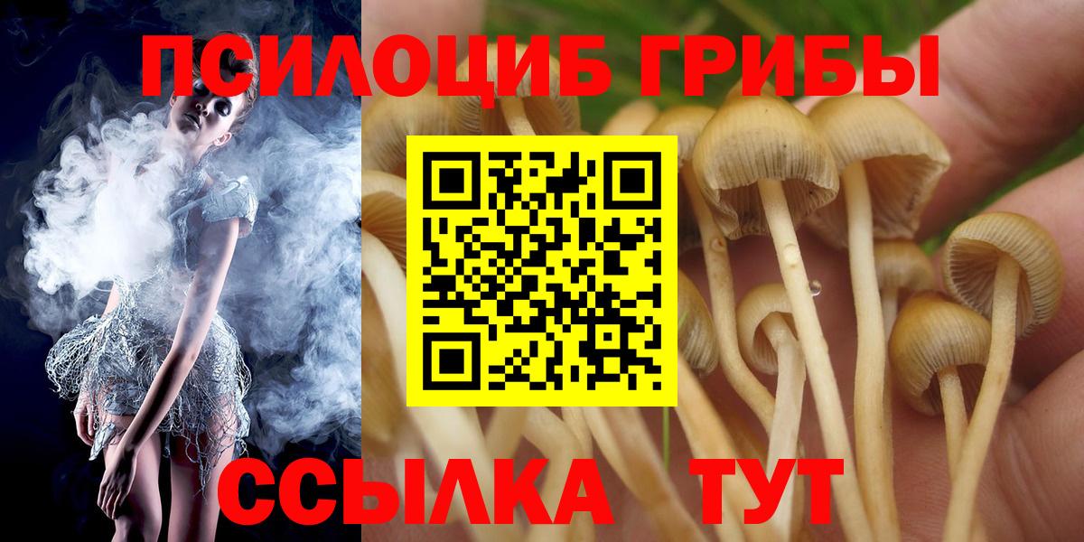 Псилоцибиновые грибы MAGIC MUSHROOMS Гусев