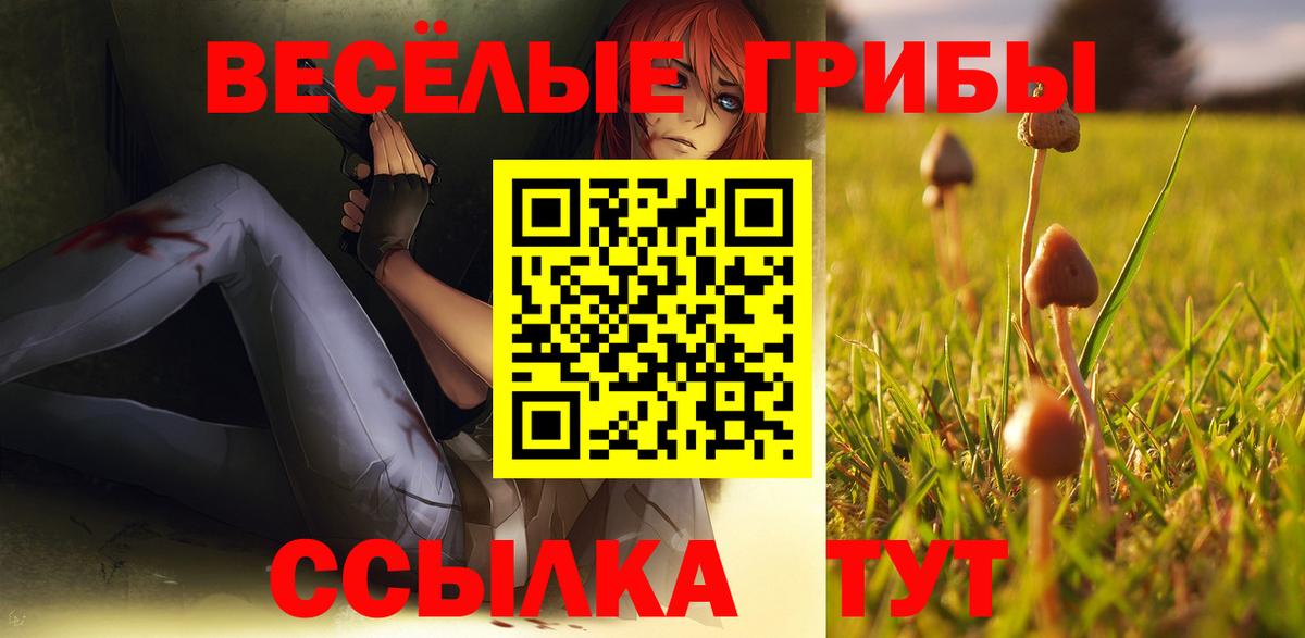 как найти   Галлюциногенные грибы ЛСД  Вход с VPN  Гусев 